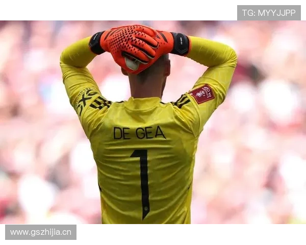 英超门将大卫·拉亚本赛季表现稳健,状态持续提升