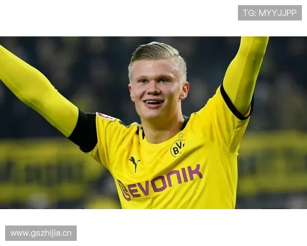 哈兰德金童奖 哈兰德金童奖