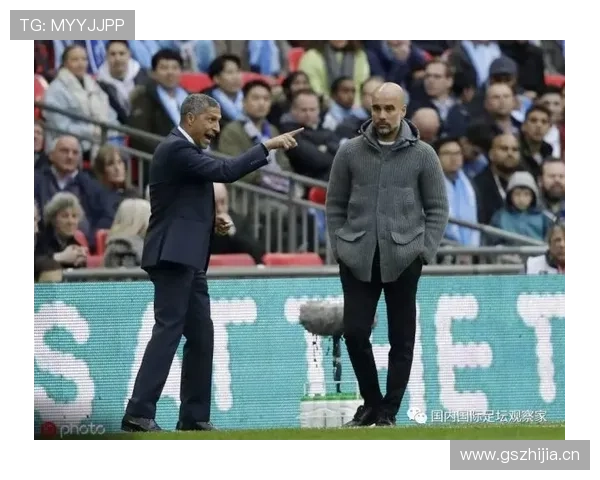 英超休顿布莱顿