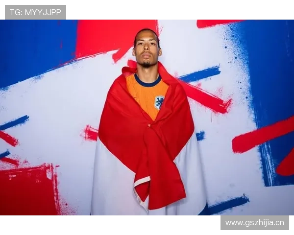 范戴克欧洲杯表现回顾