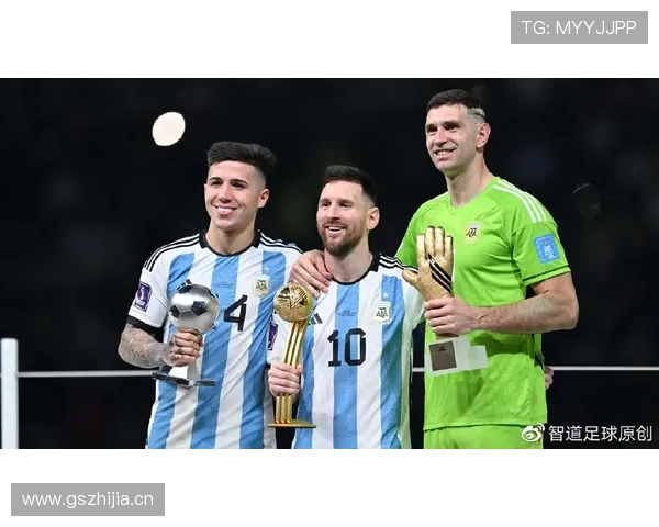 恩佐·费尔南德斯：世界杯冠军是否为其最高荣誉